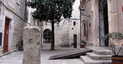 Placeta de L'Institut Vell